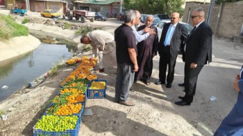 بعد القضاء على الآفات الزراعية :كربلاء تتصدر إنتاج الفواكه