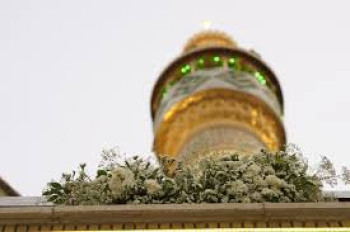 تزيين الضريح العلوي المطهر وصحنه بأكثر من 40 الف وردة طبيعية