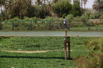 مرصد بيئي: مياه الفرات لم تعد صالحة للاستهلاك البشري