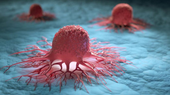 35 مليون إصابة جديدة بالسرطان سنوياً بحلول 2050