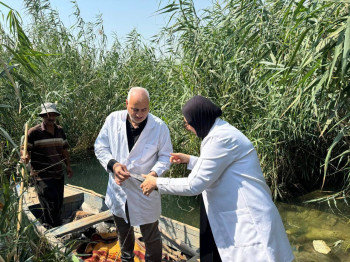 جولات ميدانية وفحوصات طبية.. الزراعة: اسماك "السلور" لا تشكل خطورة على الثروة السمكية في كربلاء