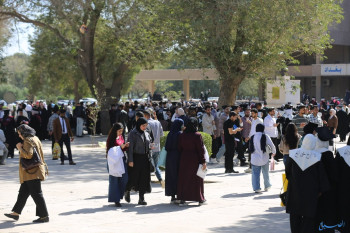 قبول 6645 طالباً مهنياً في الكليات التقنية ومعاهد النفط