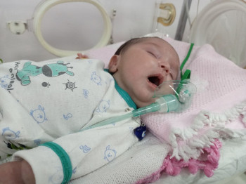فيديو:ممثل السيستاني يوعز بعلاج طفلة حديثة الولادة  من تلعفر حالتها خطرة جدا  ونقلها من نينوى الى كربلاء