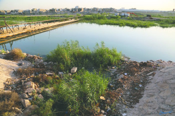 خبراء يدقون ناقوس الخطر بشأن تلوث دجلة والفرات